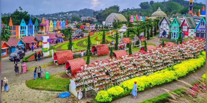 Paket Malang 1 hari (One Day) ANDROMEDA